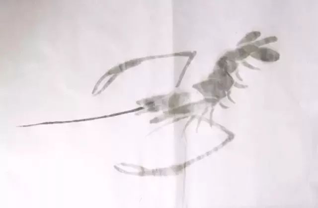 伍建丰画虾步骤图,画虾蟹的步骤图解