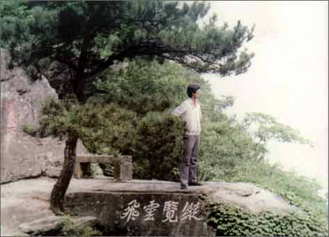 白岩松中国文化,白岩松河南什么样中国就什么样