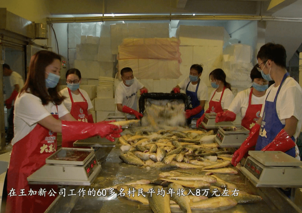 回乡创业4年开办养殖场,返乡农民工创业养鱼致富