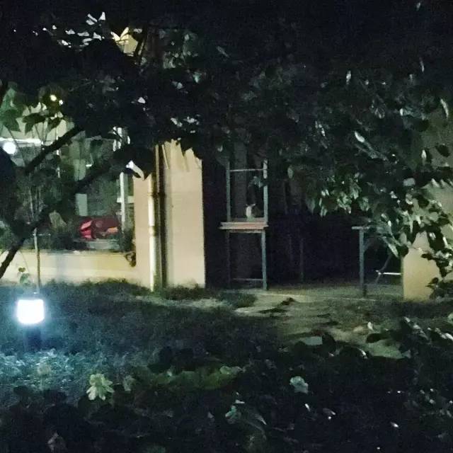 她救下一只得皮肤病脾气巨差的猫咪，花了两个月变身软萌美喵