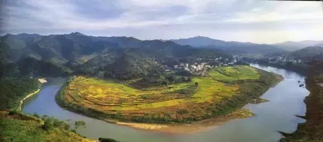 待到春暖花开时与你共赏樱花烂漫,待到春暖花开日便是把酒言欢时