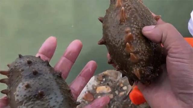 27岁姑娘创业失败,27岁姑娘白手起家400栋楼