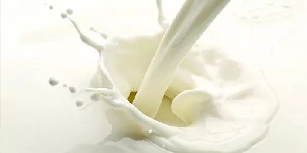 健康｜全脂牛奶不好？
