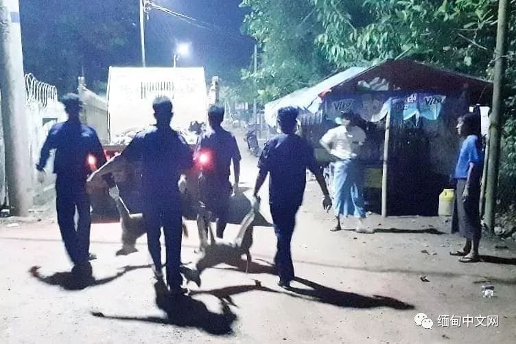 一律毒杀！缅甸小镇，政府下令毒杀流浪狗，中毒流浪狗满嘴血