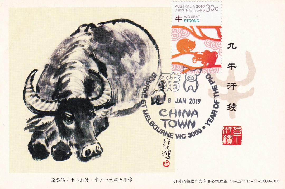 生肖牛视频大全,生肖牛第一期视频