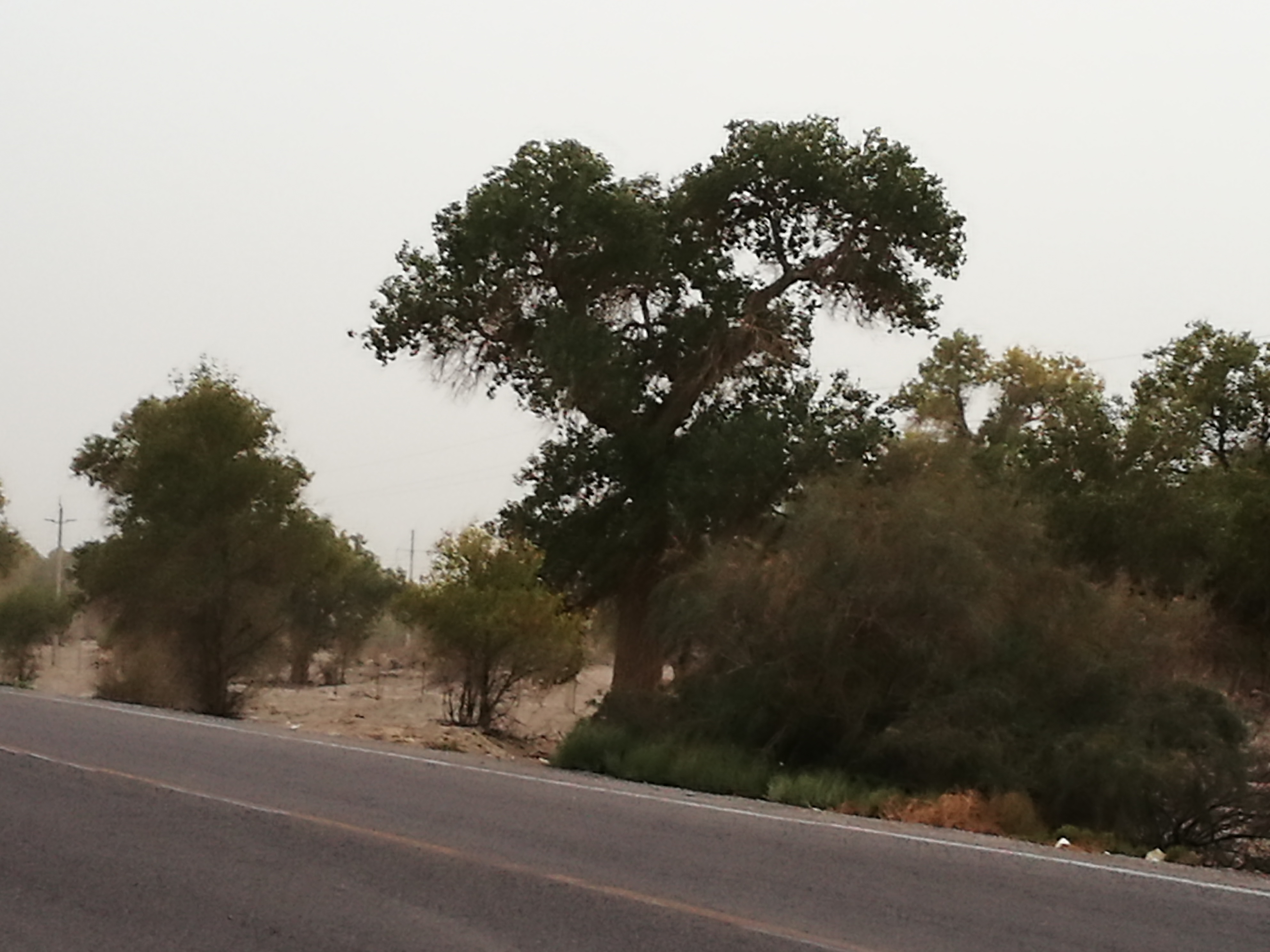 13000公里新手独驾*疆新**第23天——穿越塔克拉玛干沙漠，遭遇陷车