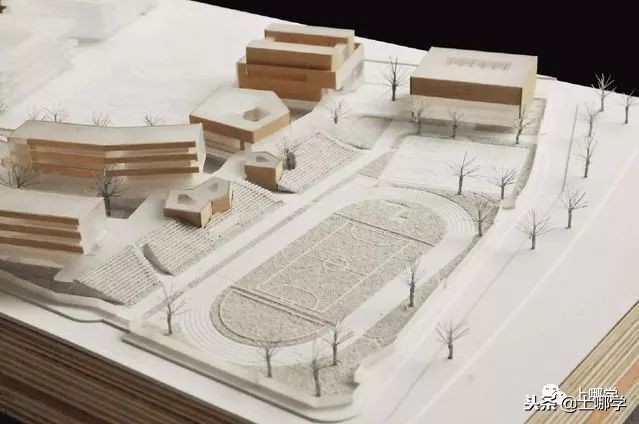 沪10大“美哭了”的公办小学,环境设施赶超民办!第一所就膜拜!