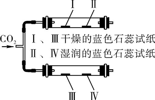 中考化学碳必考知识点,碳和碳的化合物易错点