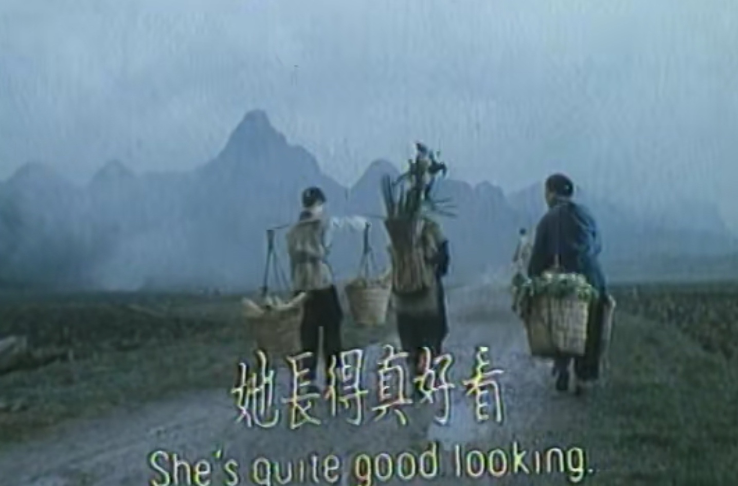 杏仙童养媳,良家妇女童养媳电视剧全集