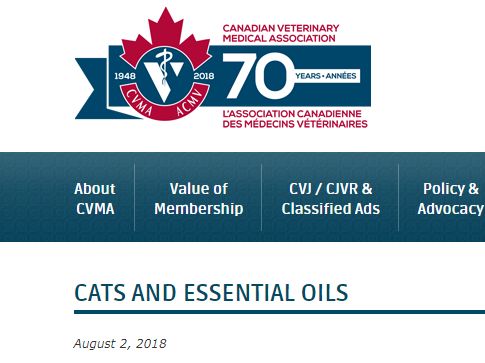 驱蚊精油对猫咪有害么,驱虫剂对狗的危害