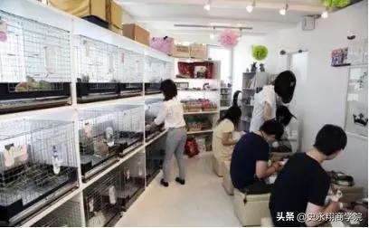 100个创业的故事,7个成功故事