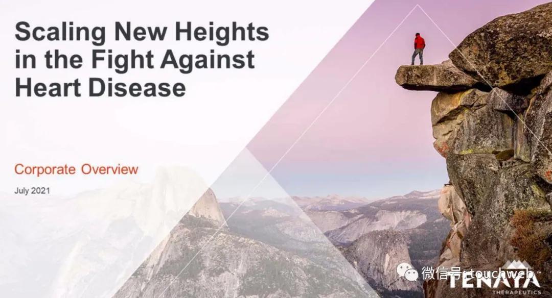 基因疗法相关上市公司,tenaris公司