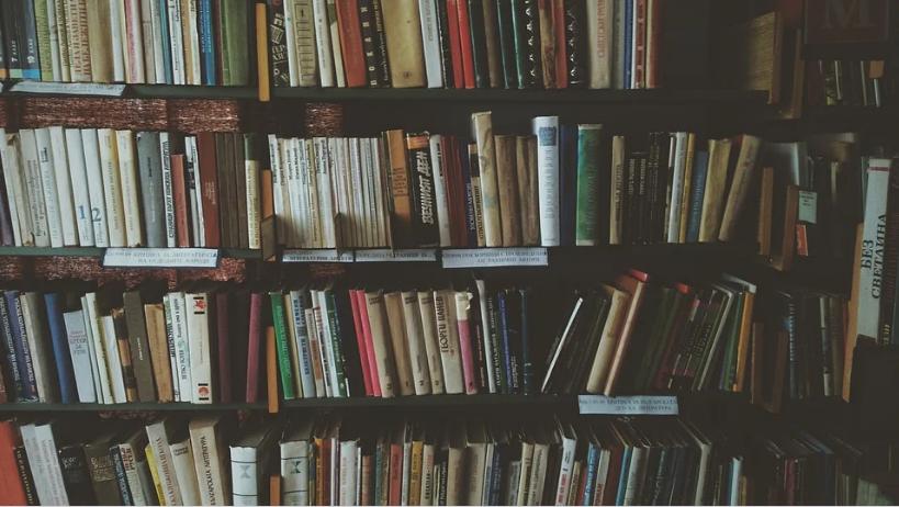 俩孩子，一个从小读名著一个从小看网文，多年后差距太明显