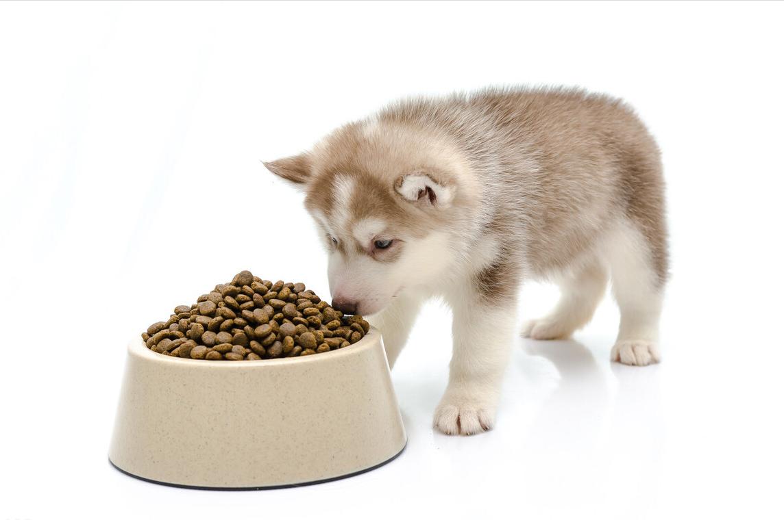 哪些品种的狗粮好用又便宜,新手养狗优质狗粮推荐