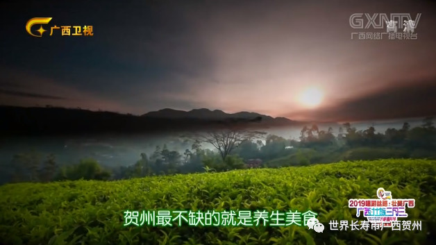 过去的一周你都经历了什么,过去的一年你错过了哪些大瓜