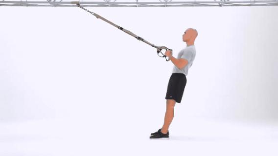 66个最佳的trx悬吊训练动作集锦,trx训练带练背