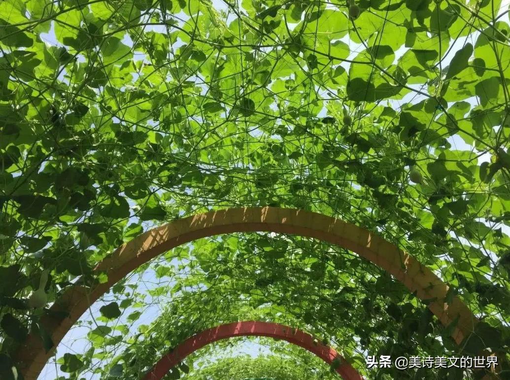 两次提名诺贝尔的林语堂,写诗水平如何?一首打油诗见“真功夫”