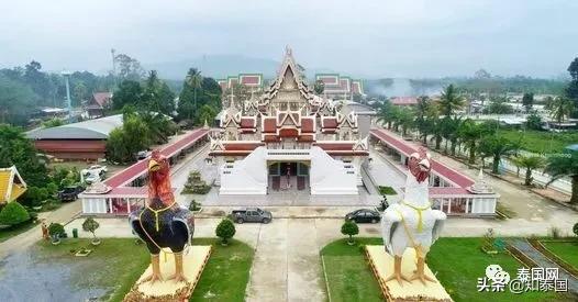 泰国今日肺炎疫情拐点,泰国疫情新增多少