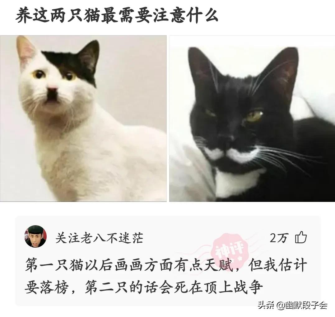 新车祛除味道的方法,新车除味正确方法是什么