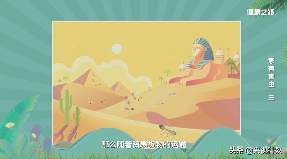 科学除四害视频,科学除掉蚂蚁