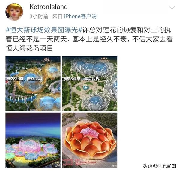 莲花建筑足球场,新建的莲花型足球场