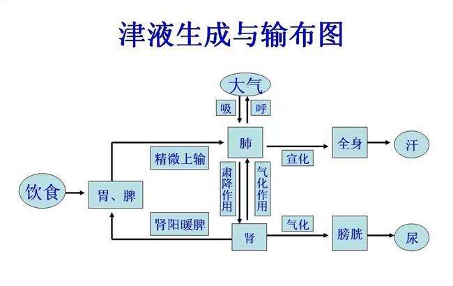 便秘都是上火吗?教你正确使用通便的中成药!