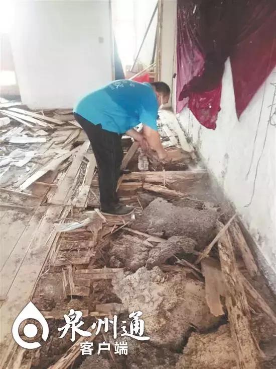 小心！近期这些毒虫出没频繁，已有数人被咬！可致命