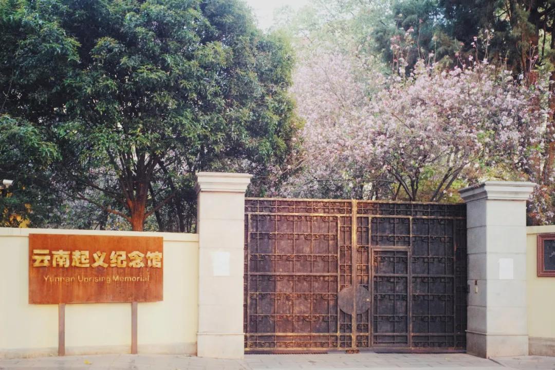 出发四季如春之地昆明,云南昆明攻略冬天