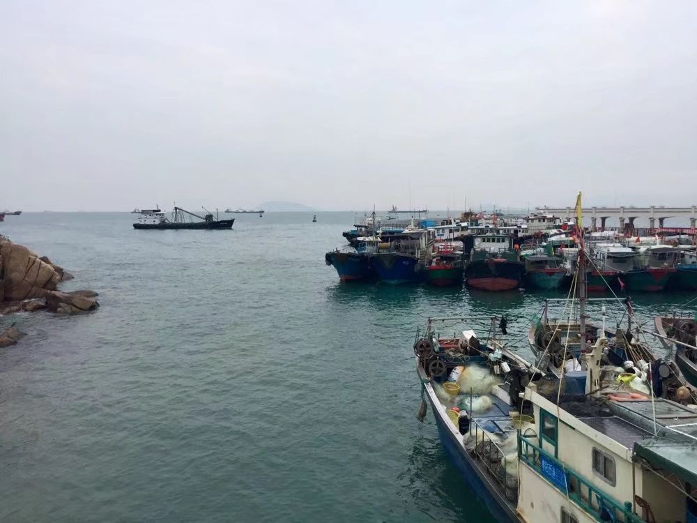 深圳自驾去外伶仃岛旅游攻略,深圳蛇口坐船去外伶仃岛