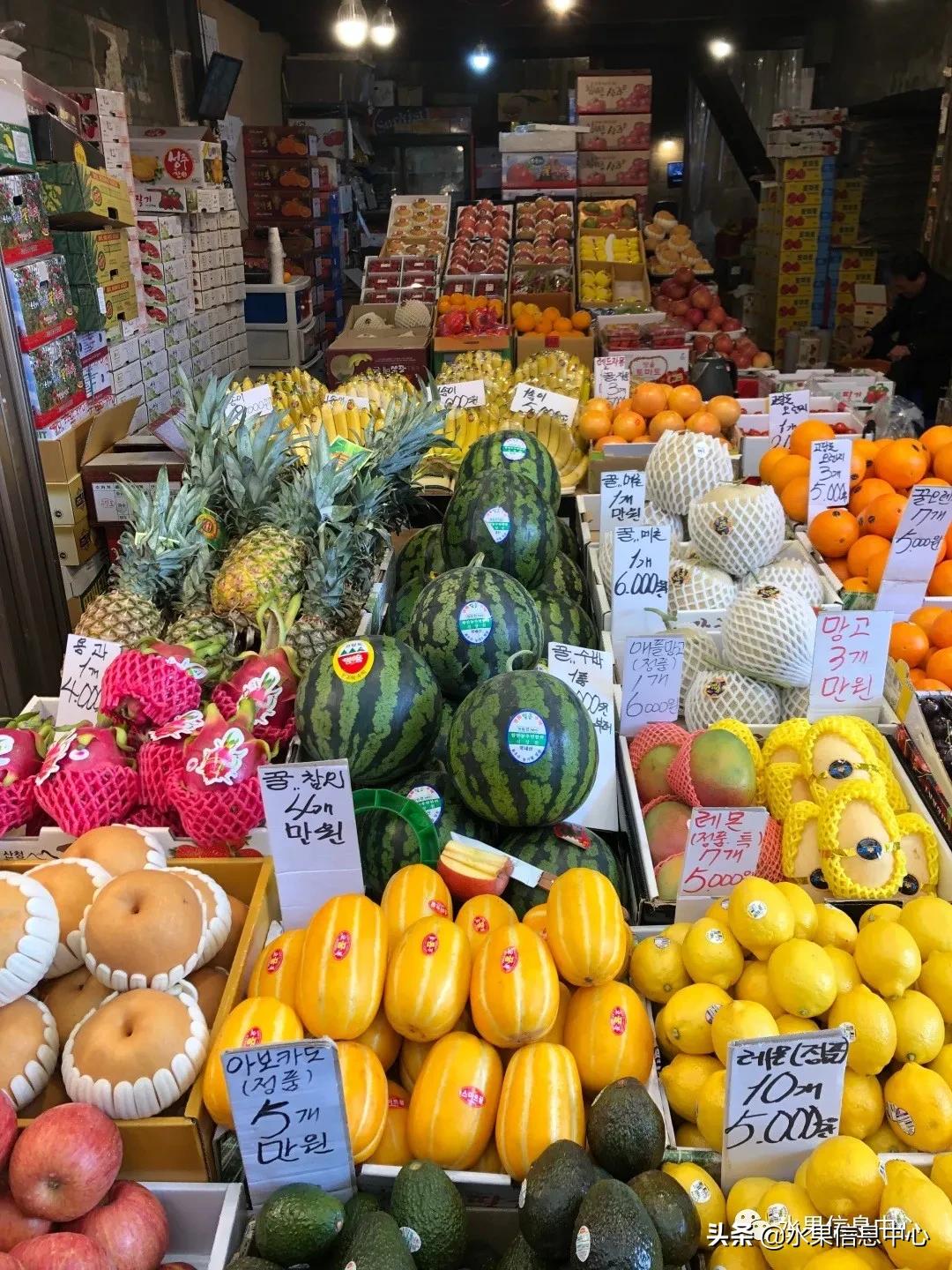 韩国的蔬菜水果批发市场,韩国最便宜的苹果水果