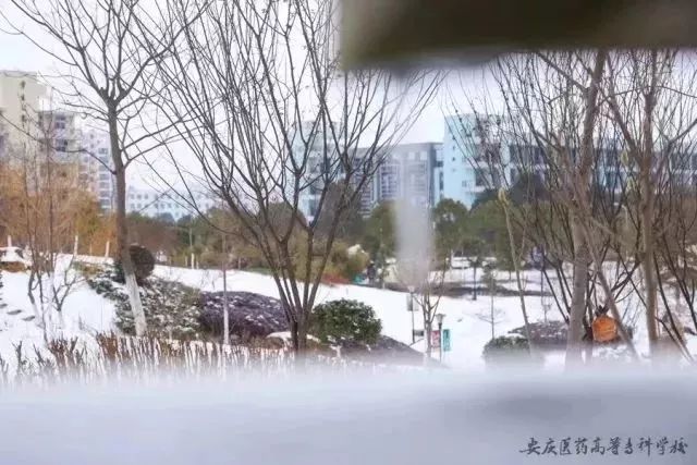 安庆高等医药职业学校,安庆医药高等专科学校2020年单招