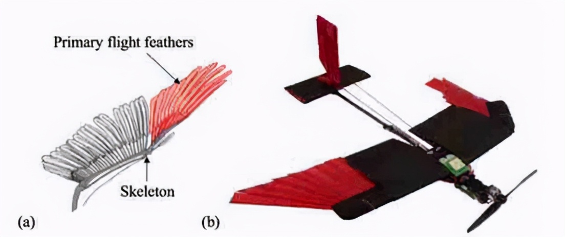 十大机器人发明视频,各个国家发明的机器人