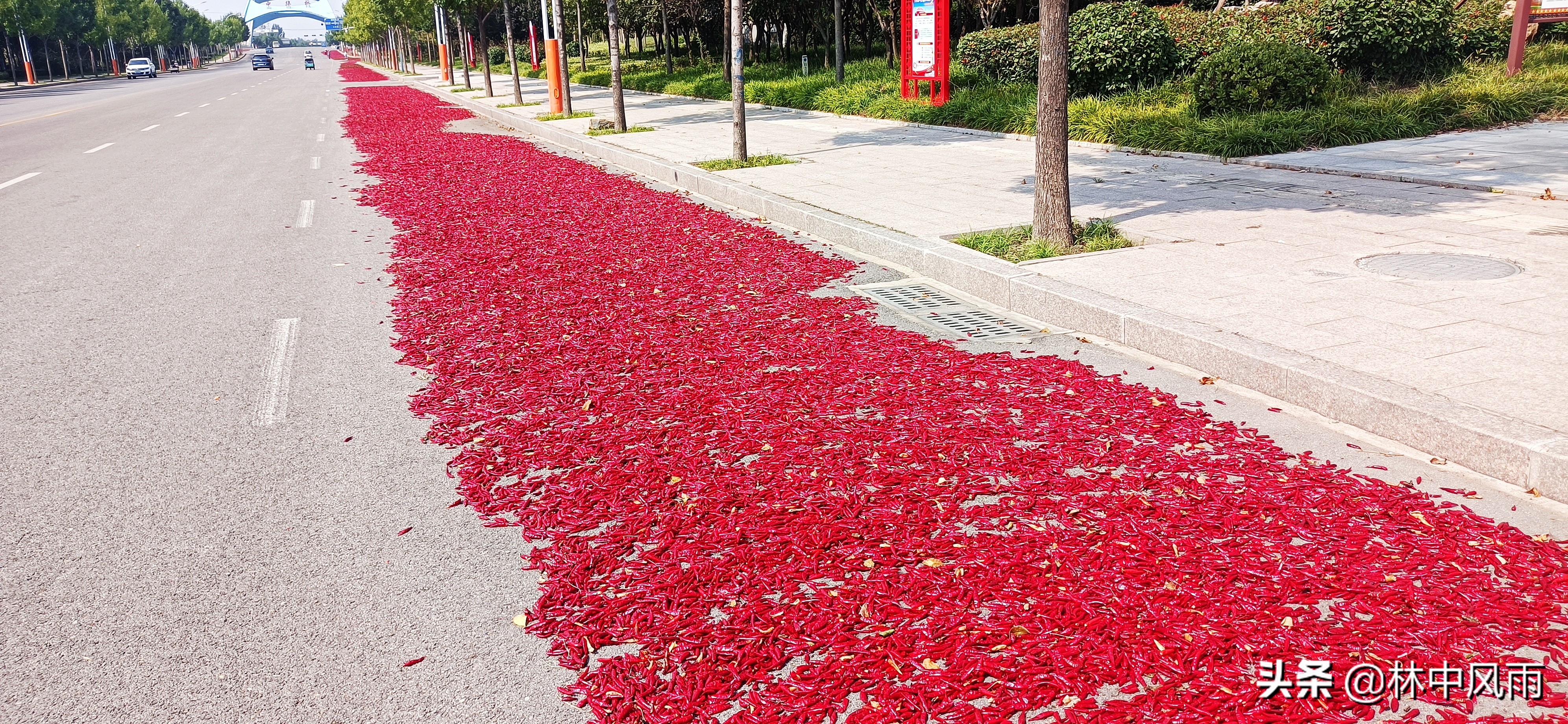 鲁西南明珠,鲁西南明珠景点