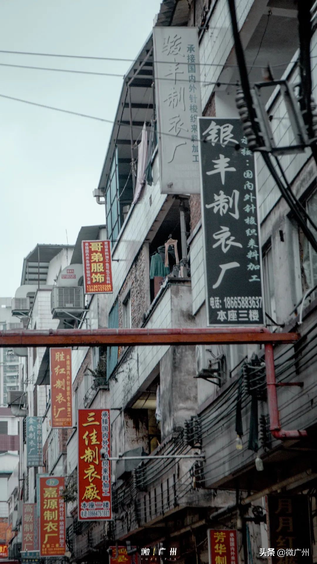 用10张照片结束我的深圳之旅,用39张照片结束我的武汉之旅