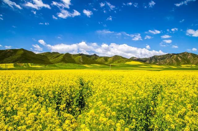 今日春分最新视频,今日春分时节
