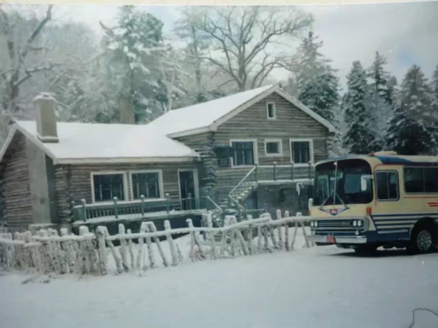 90年代伊春往事,伊春林区往事