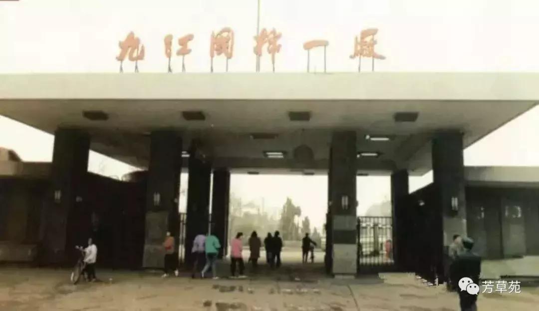 承包童年回忆的剧,九棉一厂回忆录