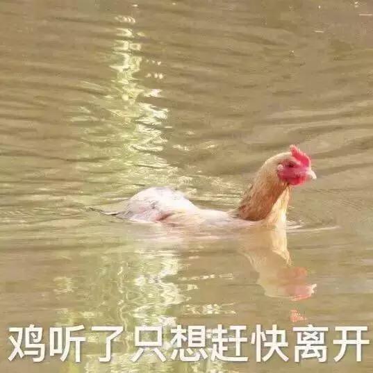 直男审美被吐槽上热搜,直男对女生的吐槽