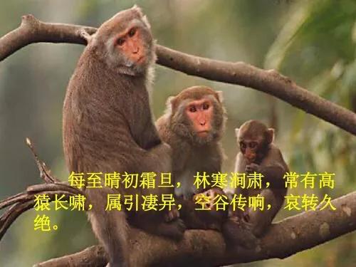 互文是什么修辞手法怎么分析,互文是修辞手法还是写作方法