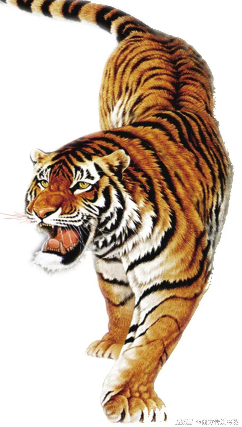 马戏团猛虎表演,猛虎表演