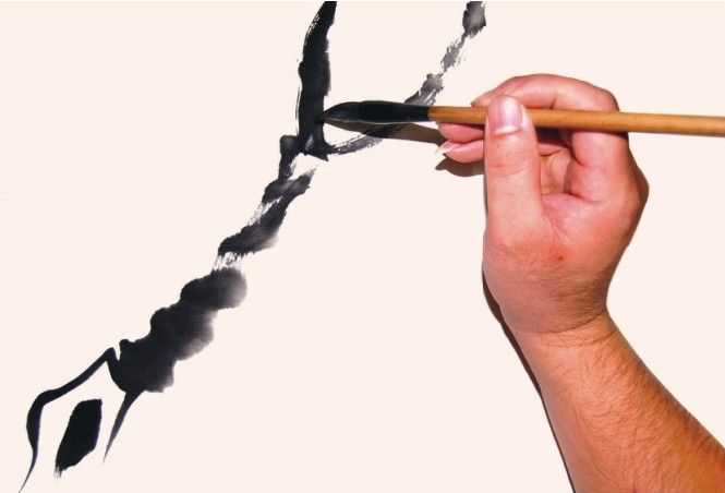 国画教程零基础入门树的画法,国画花卉线稿教程大全