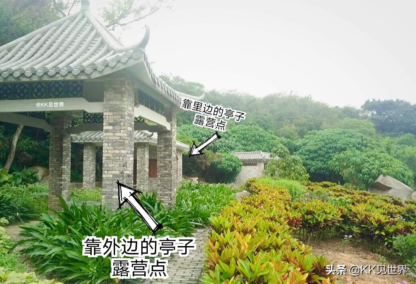 东澳岛森野露营地,珠海横琴岛露营攻略