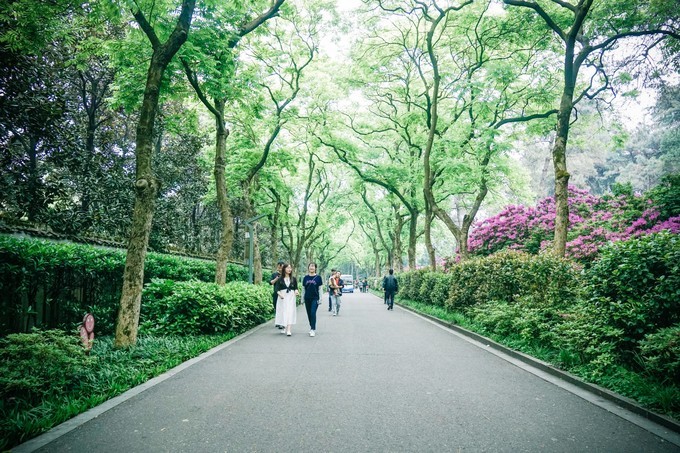 长沙三天两夜吃喝玩乐,长沙三天两晚自由行攻略酒店