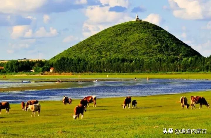 阿古拉湿地草原视频,阿古拉湿地有什么鸟
