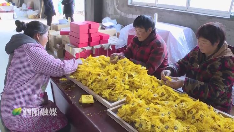 农业农村局民生实事项目,江苏宿迁泗阳农业农村局