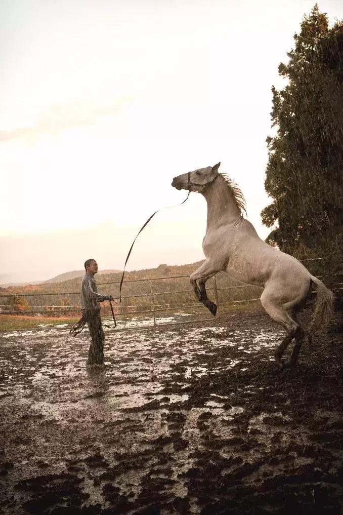 无马不自由！22部“有马”的电影，请盘住