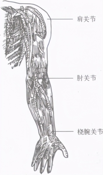 擒敌术体能训练,擒拿防身技击术