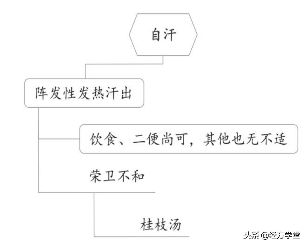 刘渡舟教授应用经方经验及医案,刘渡舟治自汗医案