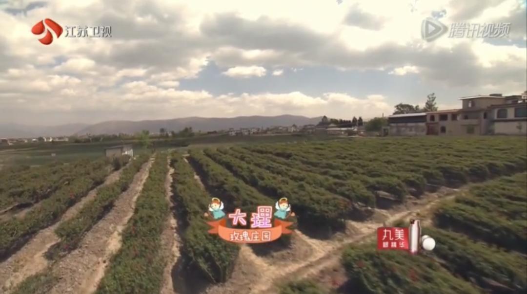 跟着综艺，让恋爱在大理浪漫