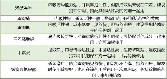 治葡萄霜霉病用什么药,葡萄霜霉病用什么药治疗最快